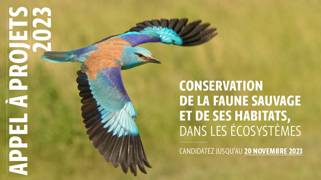 Appel à projets 2023 - Fondation François Sommer