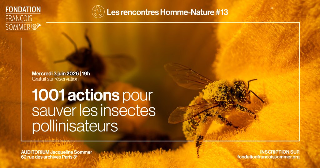 Rencontre Homme-Nature Fondation François Sommer musée de la Chasse et de la Nature