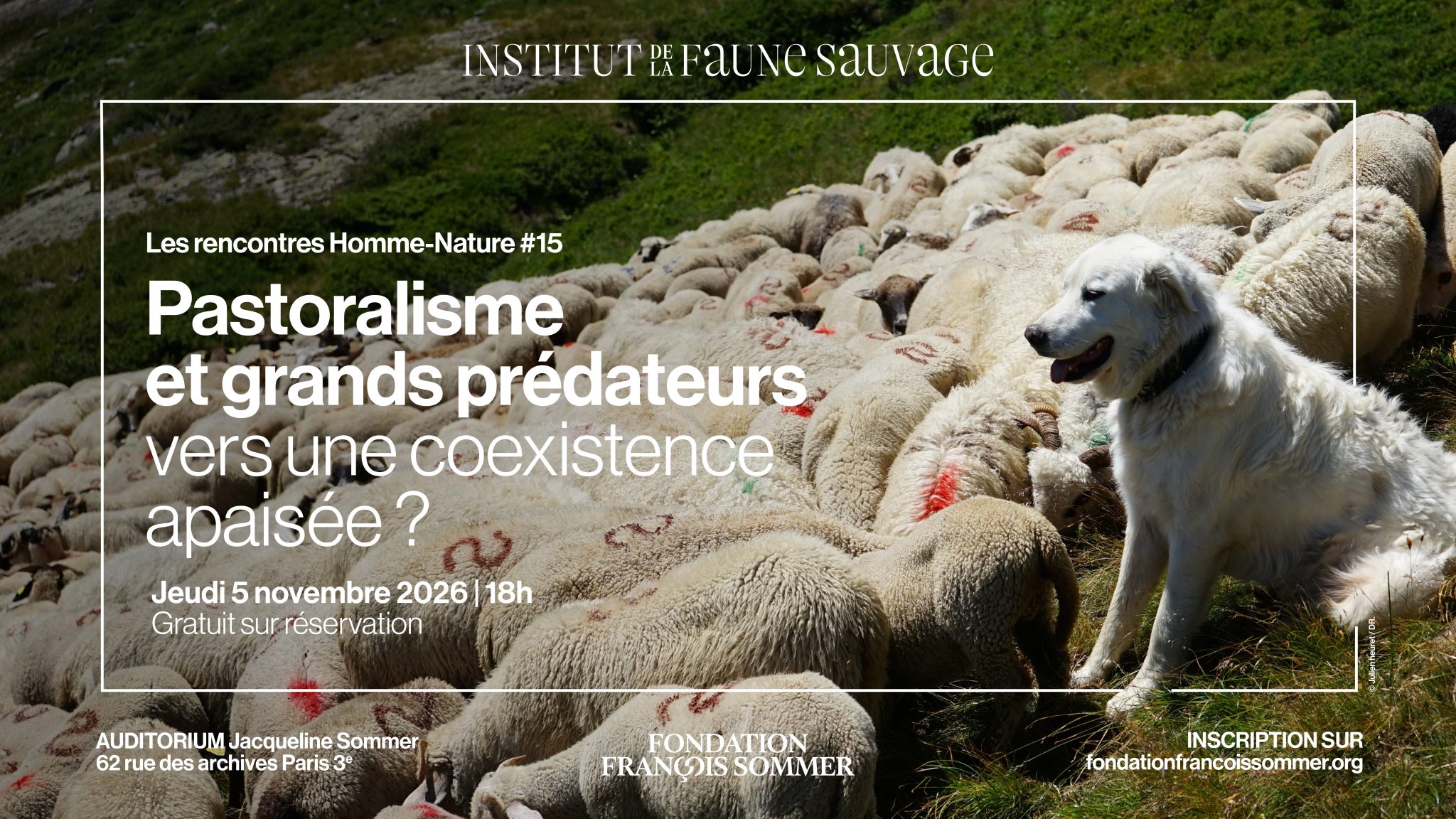 Rencontre Homme-Nature 15 Pastoralisme et grands prédateurs vers une coexistence apaisée Fondation François Sommer