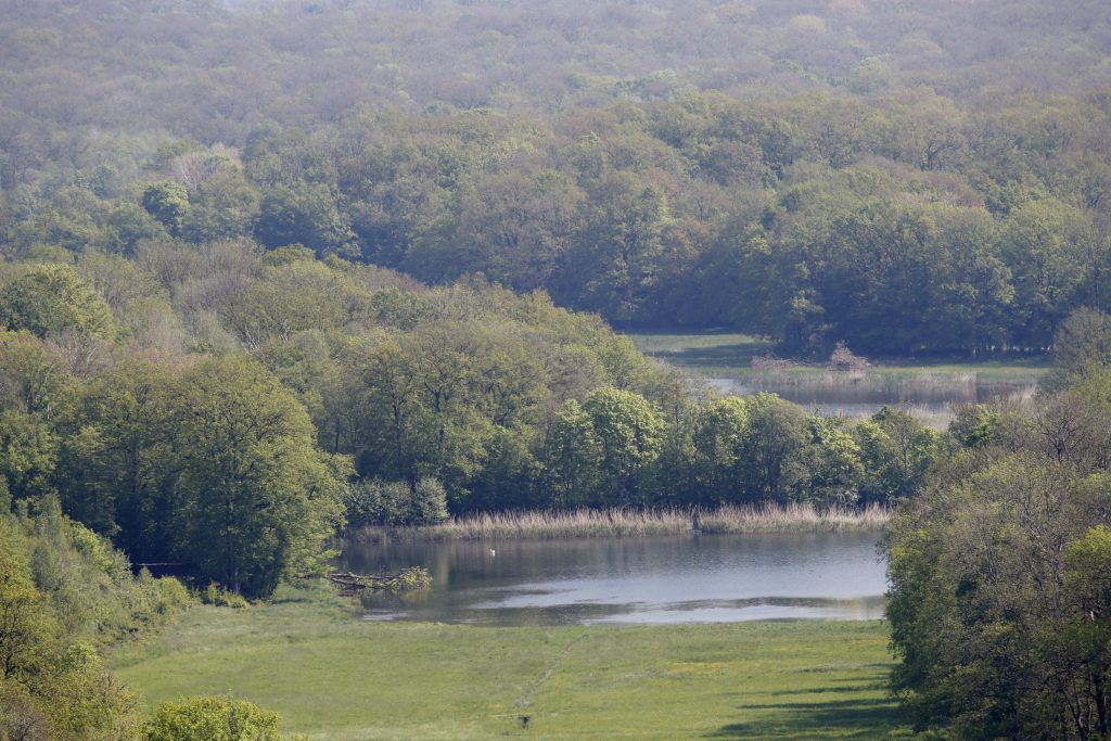 Domaine de Belval, J.C. Marmara.