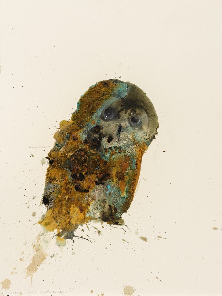 Chouette © Lionel-Sabatte, ADAGP, Paris, 2026. © Grégory Copitet Fondation François Sommer Musée de la Chasse et de la Nature